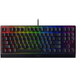 Игровая клавиатура Razer Blackwidow V3 / RZ03-03490700-R3R1